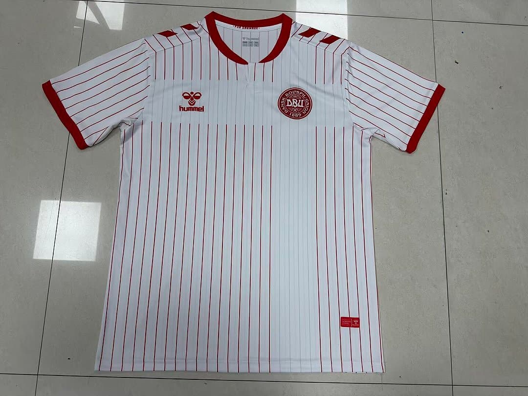 قميص الدنمارك 2026 الاحتياطي